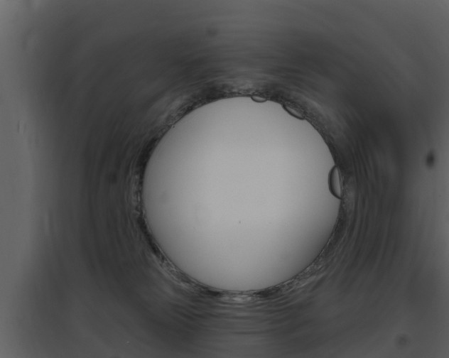 X0000097850181200803140905