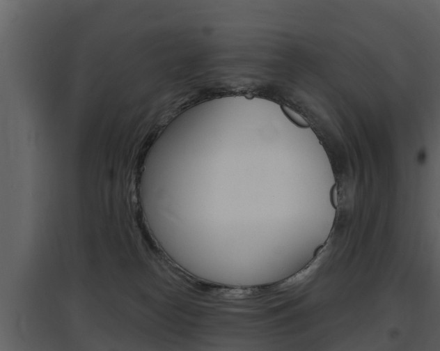 X0000097850182200803140905
