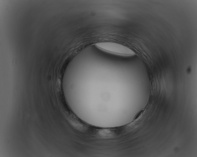 X0000097850183200803140905
