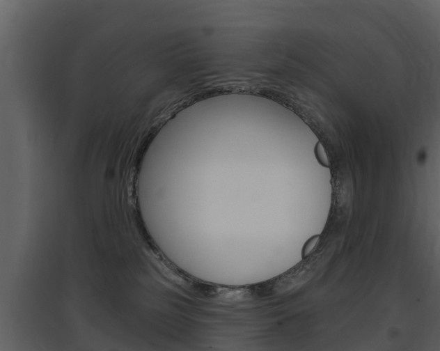 X0000097850185200803140905