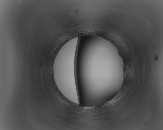 X0000097850188200803140905
