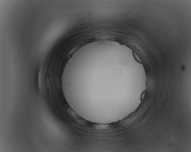 X0000097850189200803140905