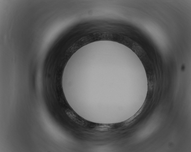 X0000097850190200803140905