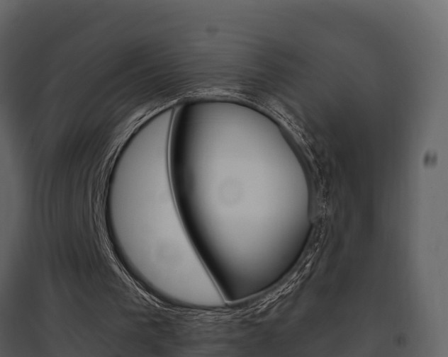 X0000097850193200803140905