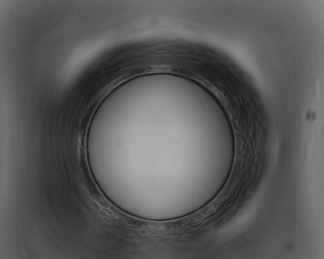 X0000097850194200803140905