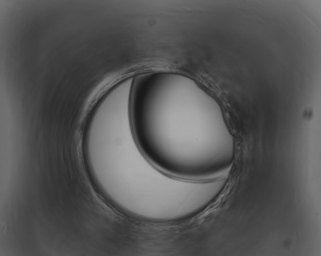 X0000097850197200803140905