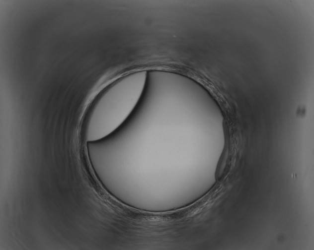 X0000097850198200803140905