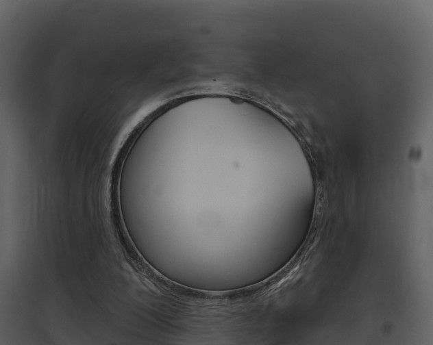 X0000097850200200803140905