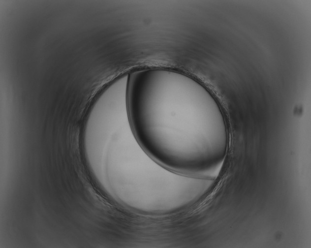 X0000097850201200803140905