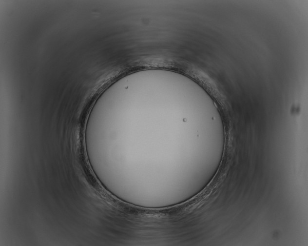 X0000097850202200803140905
