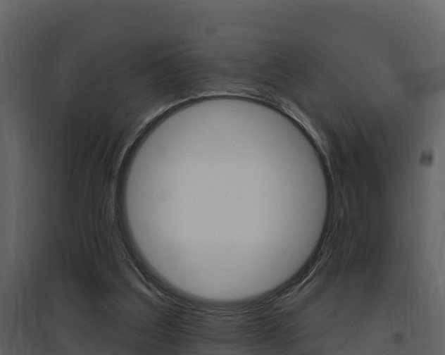X0000097850203200803140905