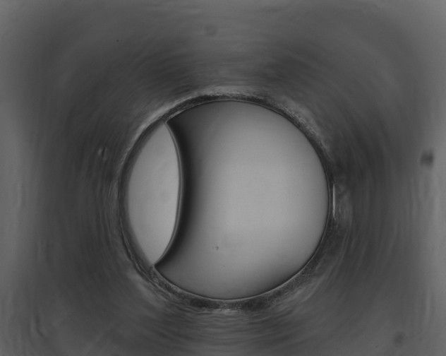 X0000097850204200803140905