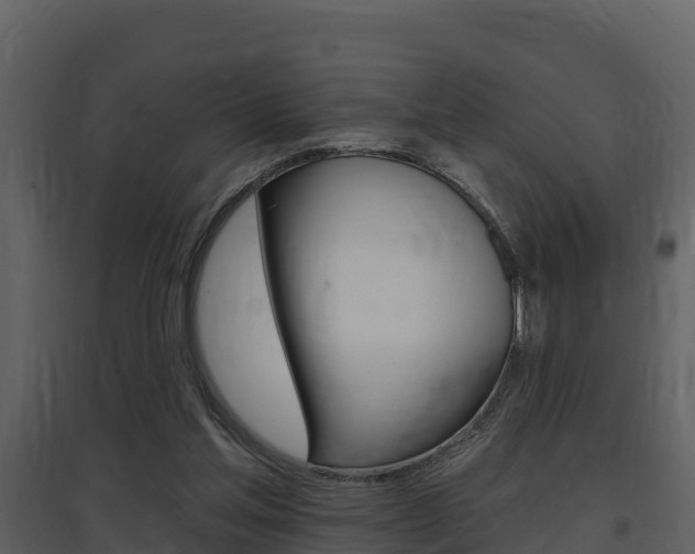 X0000097850205200803140904