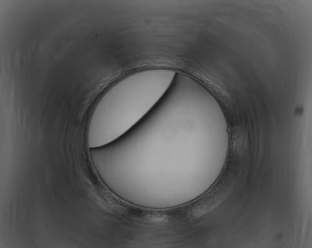 X0000097850206200803140904