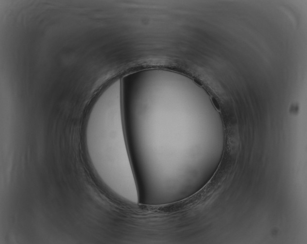 X0000097850207200803140904
