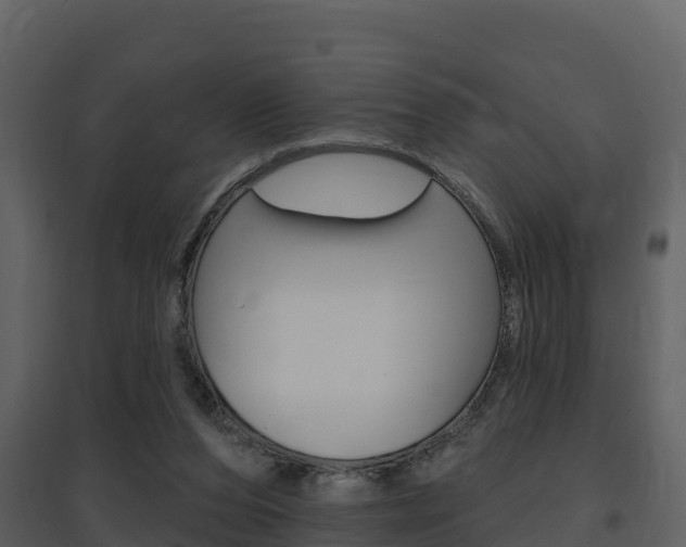 X0000097850208200803140904
