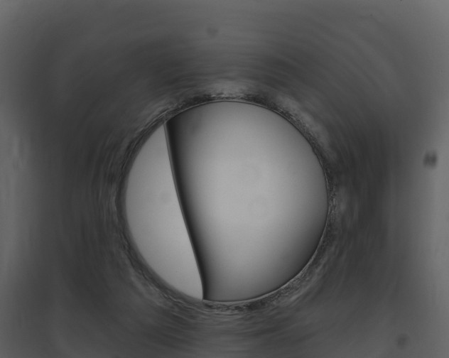 X0000097850209200803140904