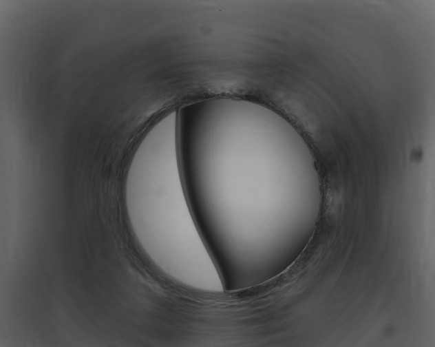 X0000097850211200803140904