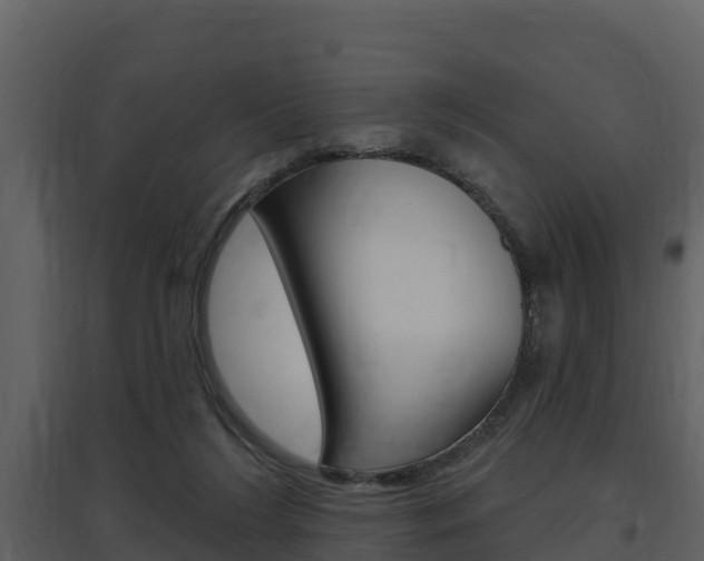 X0000097850212200803140904
