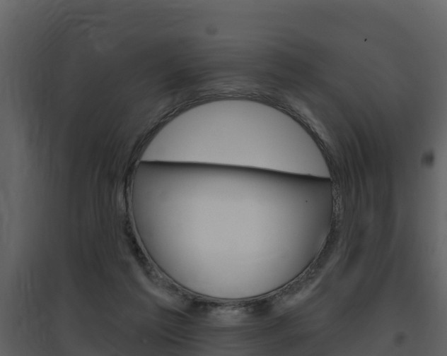 X0000097850213200803140904