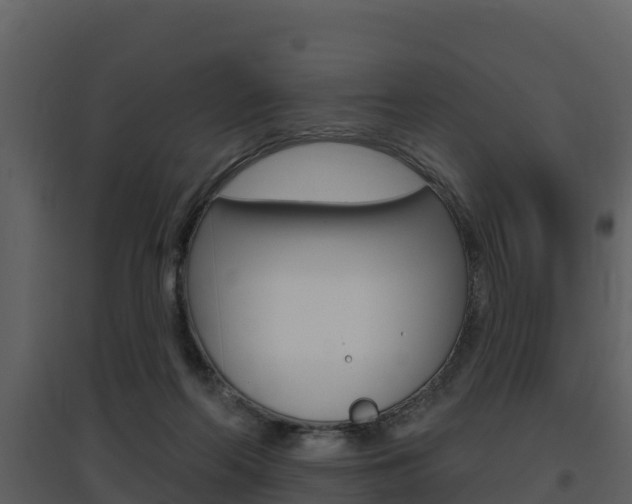 X0000097850214200803140904