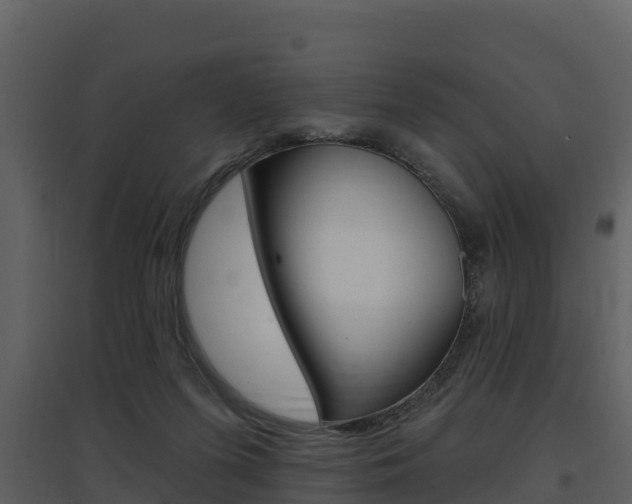 X0000097850215200803140904