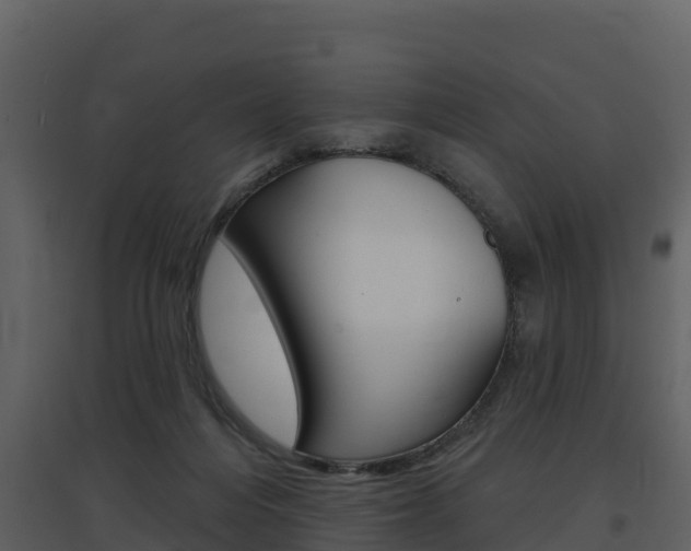 X0000097850216200803140904