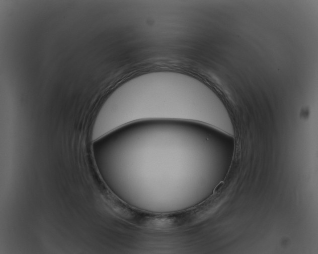 X0000097850217200803140904