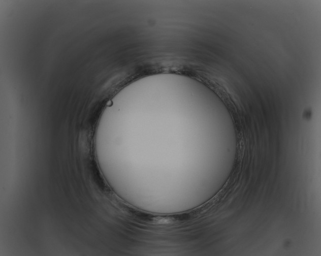 X0000097850218200803140904