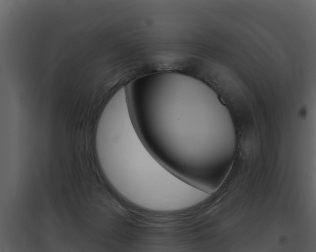 X0000097850219200803140904