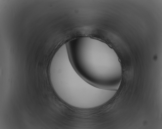 X0000097850221200803140904