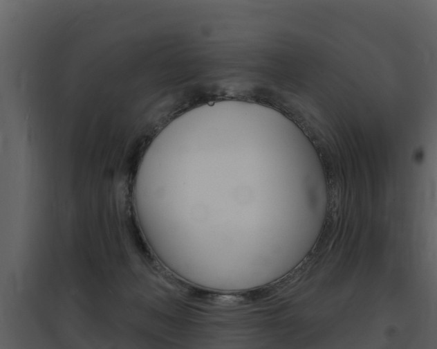 X0000097850222200803140904