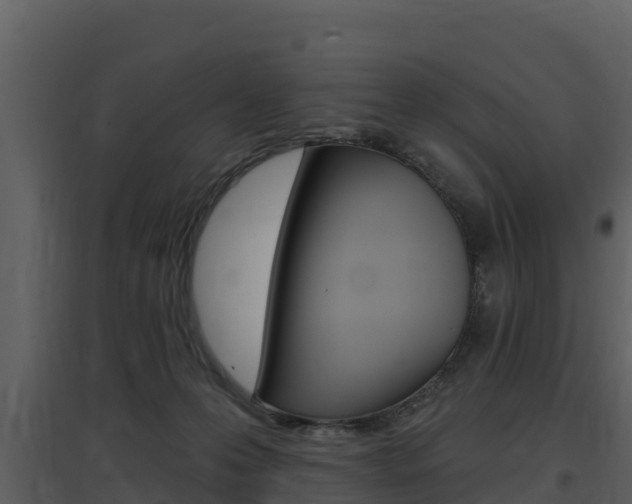 X0000097850223200803140904