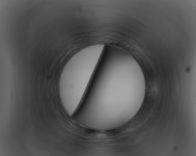 X0000097850224200803140904