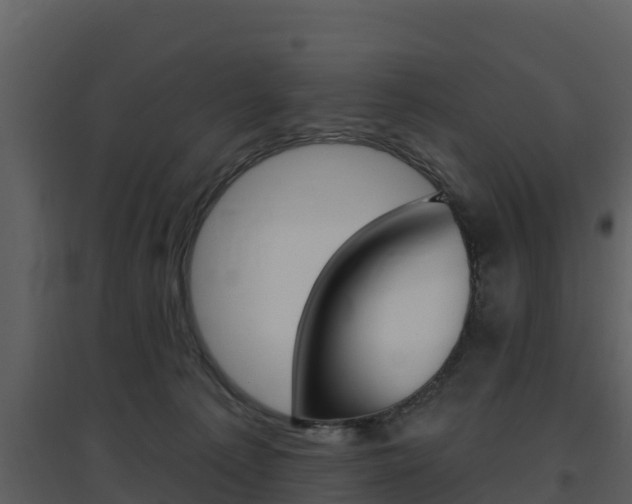 X0000097850225200803140904