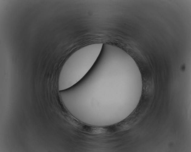 X0000097850226200803140904