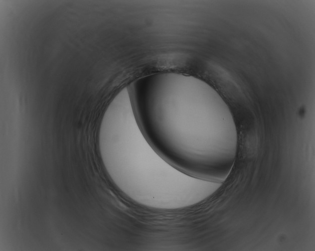 X0000097850227200803140904