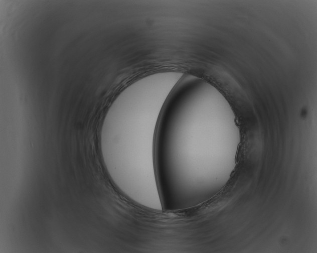 X0000097850229200803140904