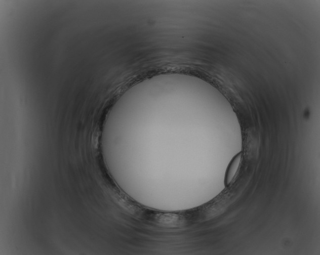 X0000097850230200803140904