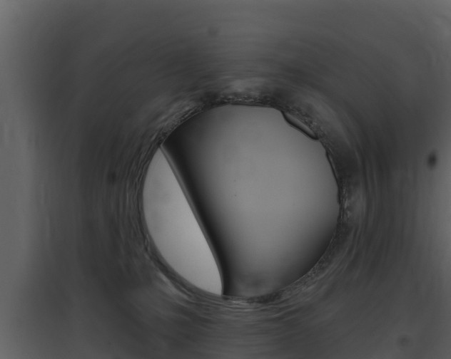 X0000097850231200803140904