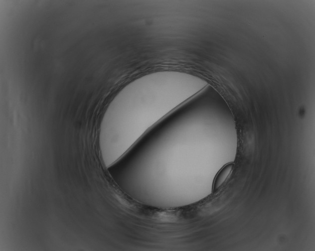 X0000097850232200803140904