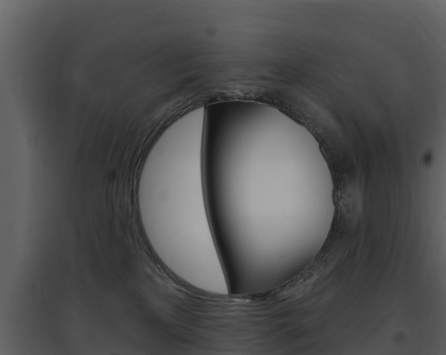 X0000097850233200803140904