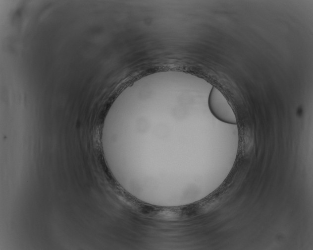 X0000097850236200803140904