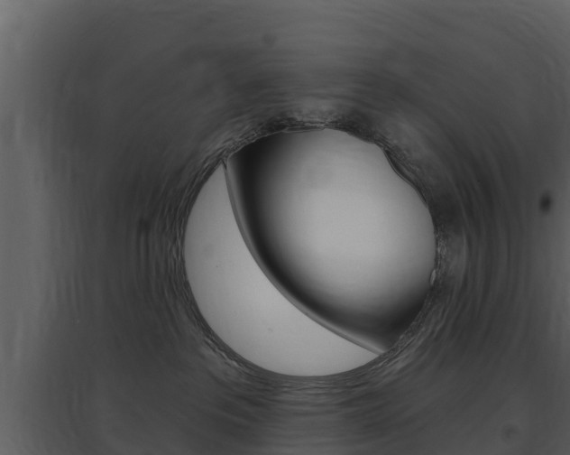 X0000097850237200803140904
