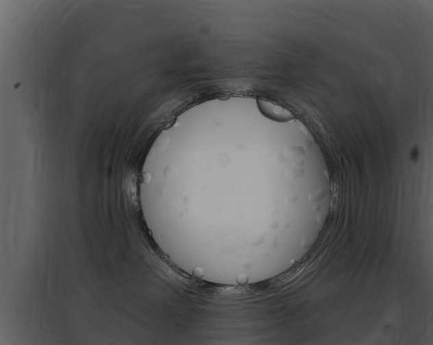 X0000097850238200803140904