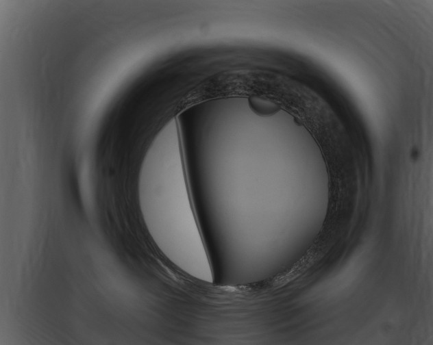X0000097850239200803140904
