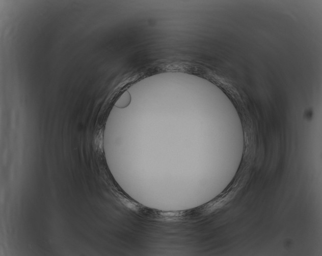 X0000097850240200803140904