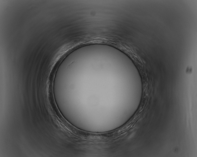 X0000097850242200803140903