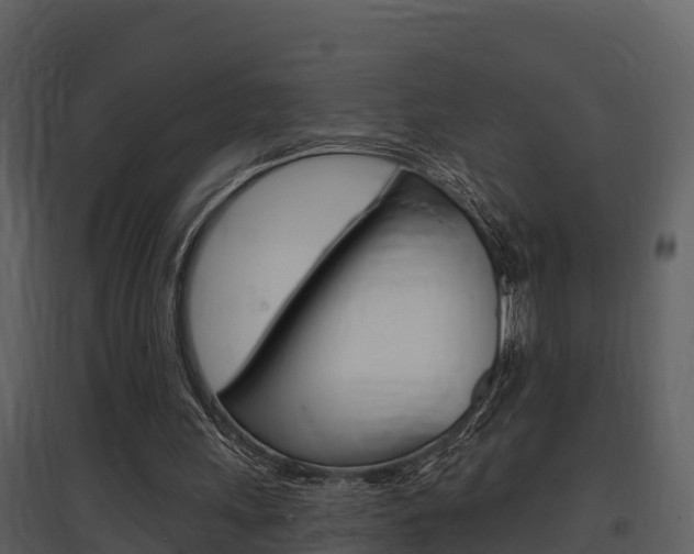 X0000097850243200803140903