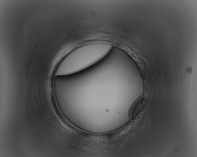 X0000097850245200803140903